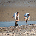 morsalines, 2011